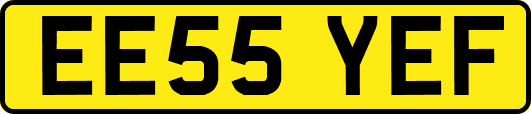 EE55YEF