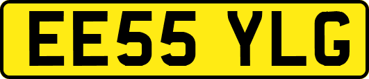 EE55YLG