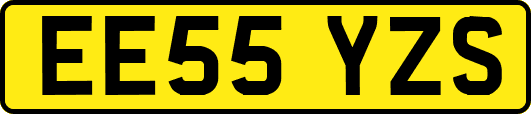 EE55YZS