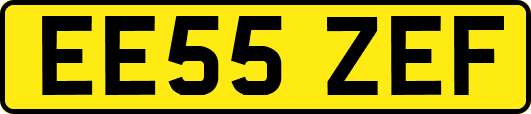 EE55ZEF