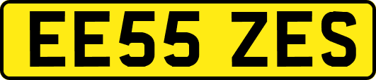 EE55ZES