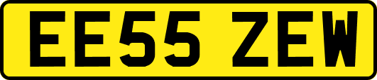 EE55ZEW