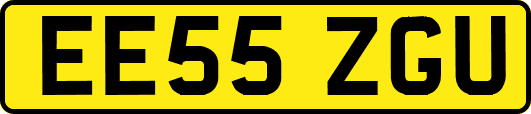 EE55ZGU