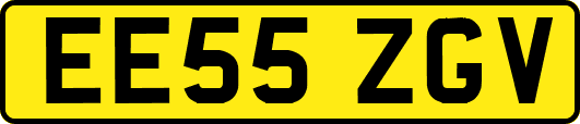 EE55ZGV