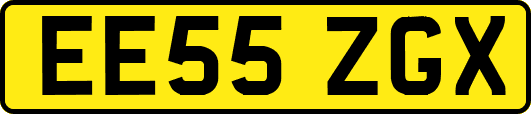 EE55ZGX