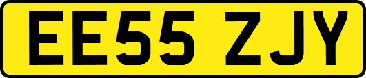 EE55ZJY