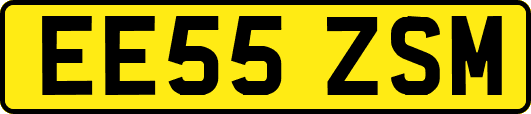 EE55ZSM