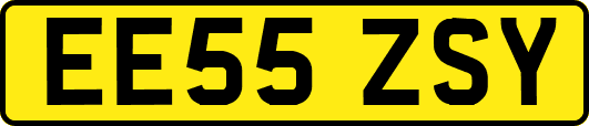EE55ZSY