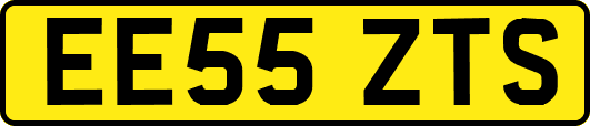 EE55ZTS