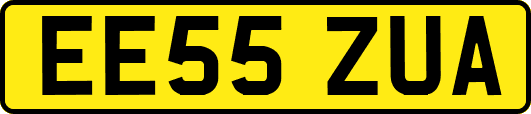 EE55ZUA