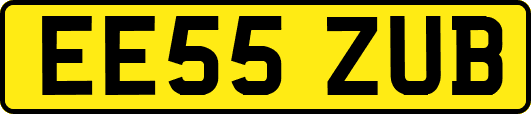 EE55ZUB