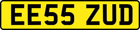 EE55ZUD