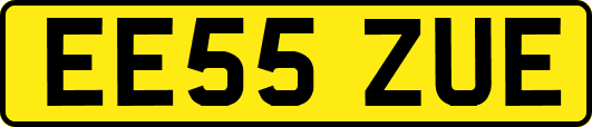 EE55ZUE