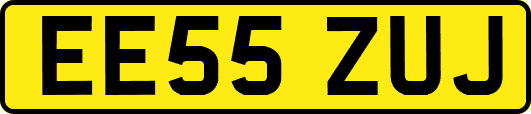 EE55ZUJ