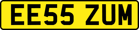 EE55ZUM