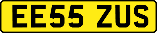 EE55ZUS