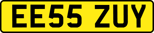 EE55ZUY