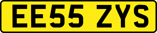 EE55ZYS