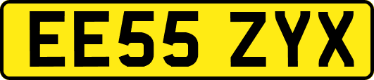 EE55ZYX