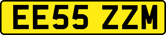 EE55ZZM