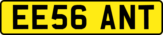 EE56ANT