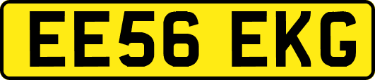 EE56EKG