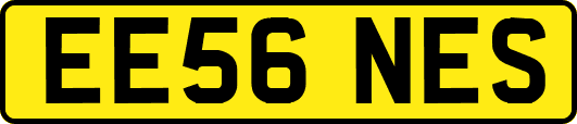 EE56NES
