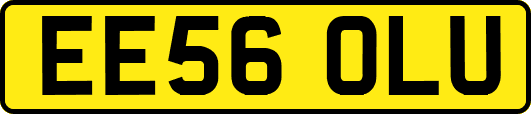 EE56OLU
