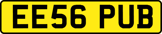 EE56PUB