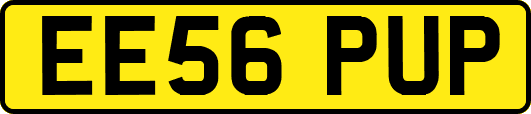 EE56PUP