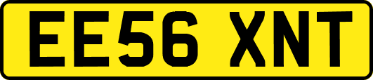 EE56XNT