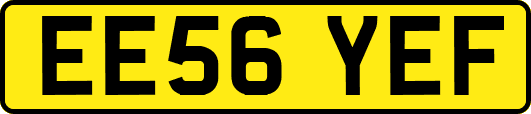 EE56YEF