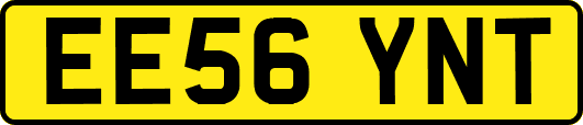 EE56YNT
