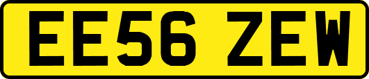 EE56ZEW