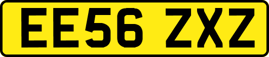 EE56ZXZ
