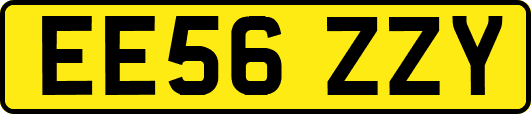 EE56ZZY
