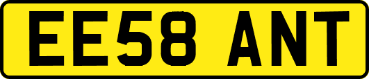EE58ANT