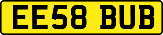 EE58BUB