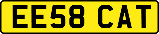 EE58CAT