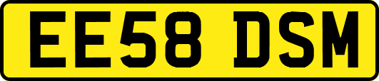 EE58DSM