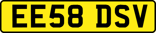 EE58DSV
