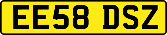 EE58DSZ