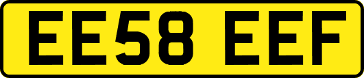 EE58EEF