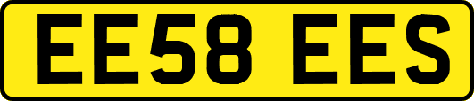 EE58EES