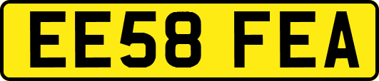 EE58FEA