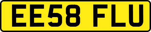 EE58FLU