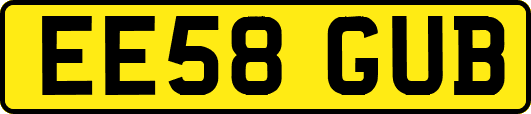 EE58GUB
