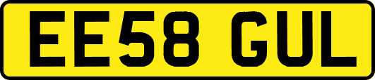EE58GUL