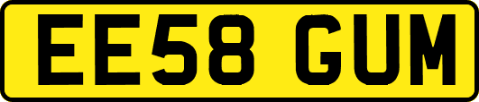 EE58GUM