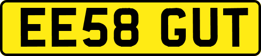 EE58GUT